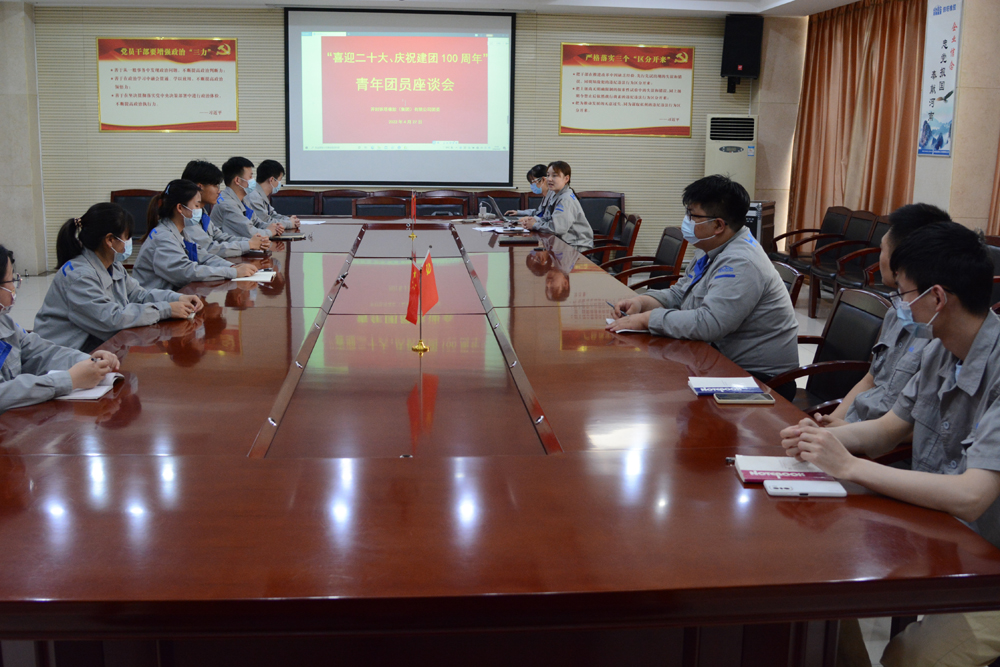 以黨建帶團(tuán)建 凝聚青年力量